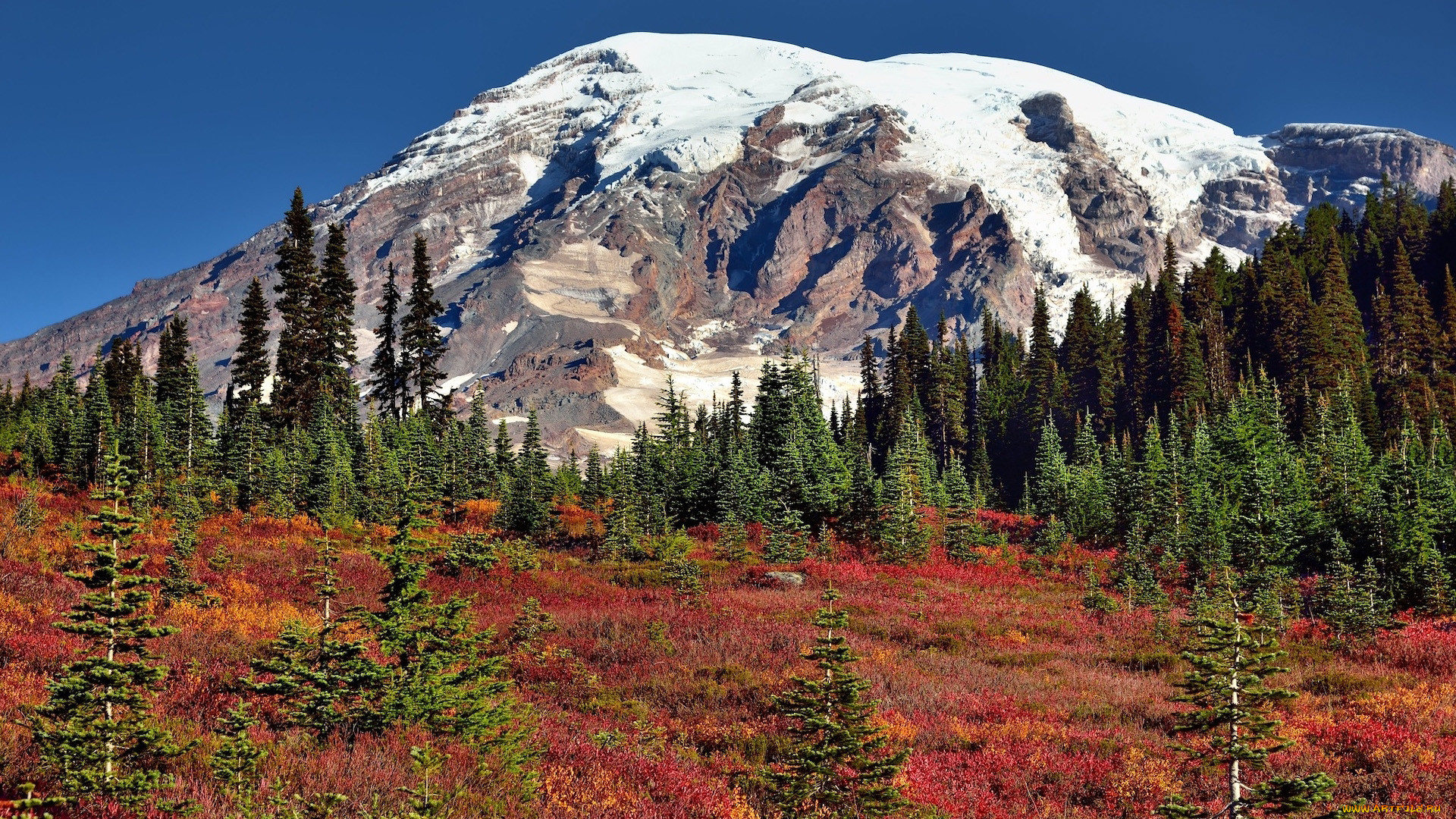 mount rainier, usa, , , mount, rainier